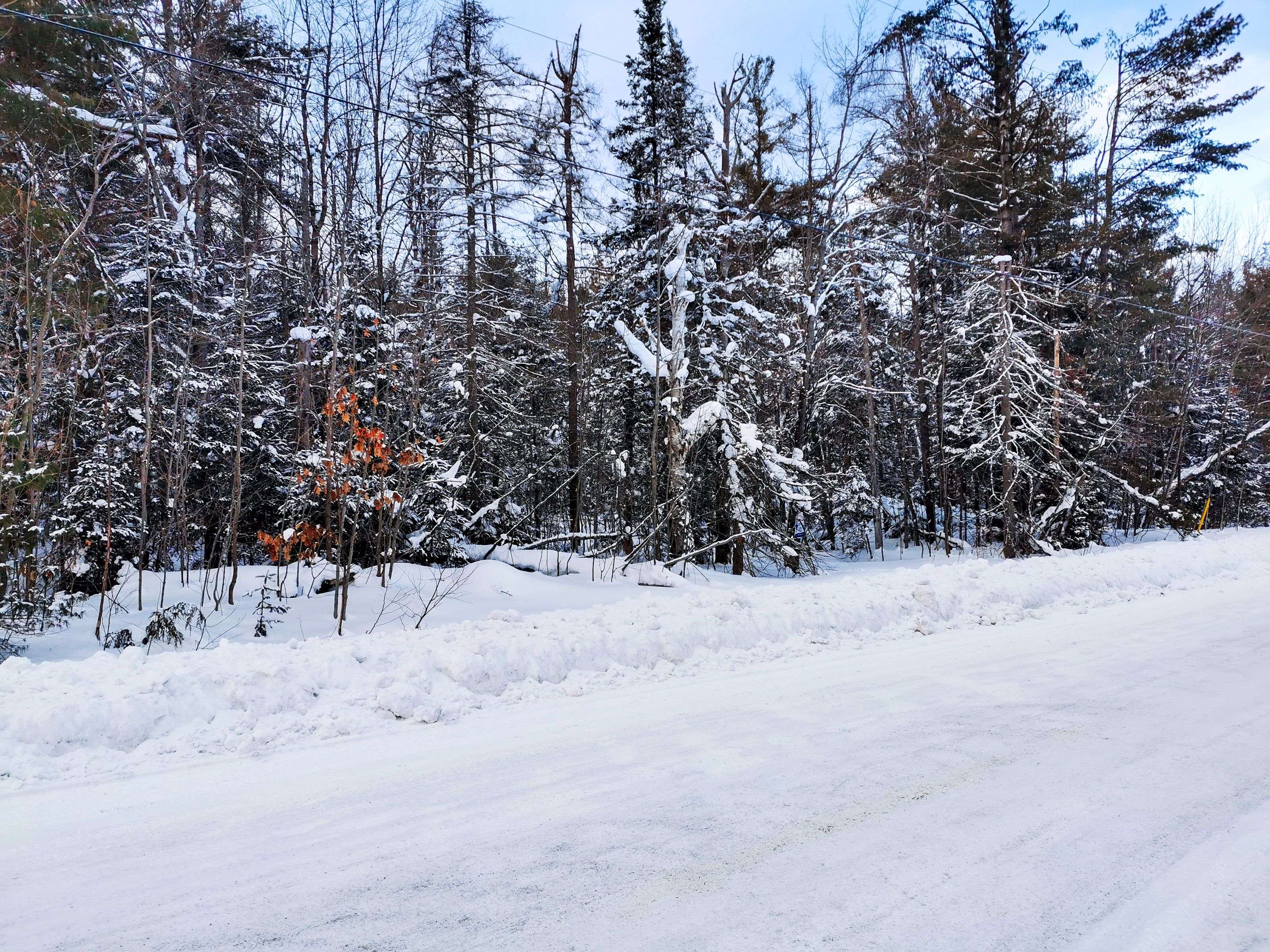 00 Germania RD, Bracebridge, ON P1P 1R3