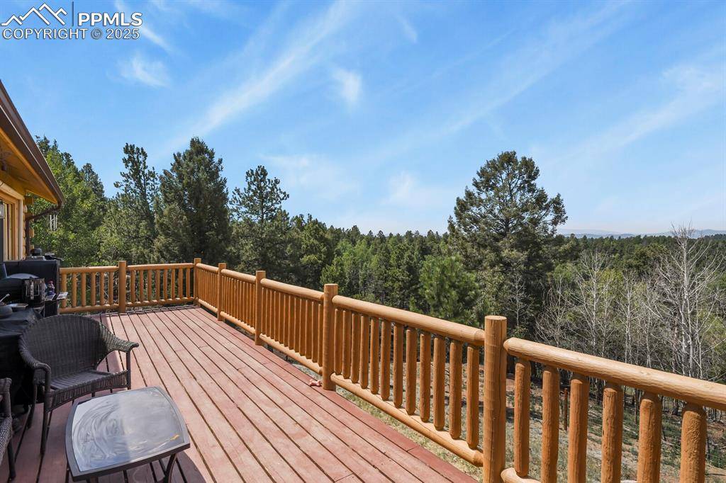 4269 County Road 51, Divide, CO 80814