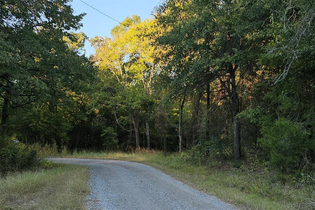 0 Ravenwood Drive, Trinidad, TX 75163