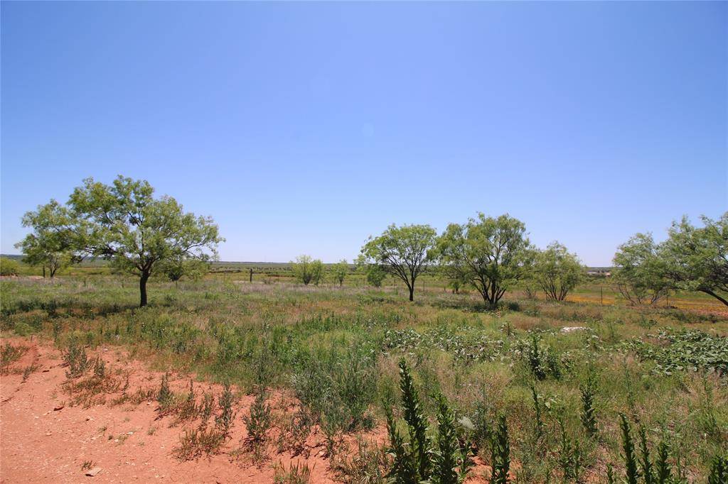 Lot 5 Marshal Trail, Tuscola, TX 79562