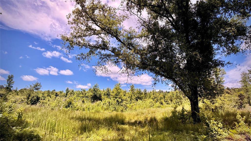 0 Cook, Bernice, LA 71222