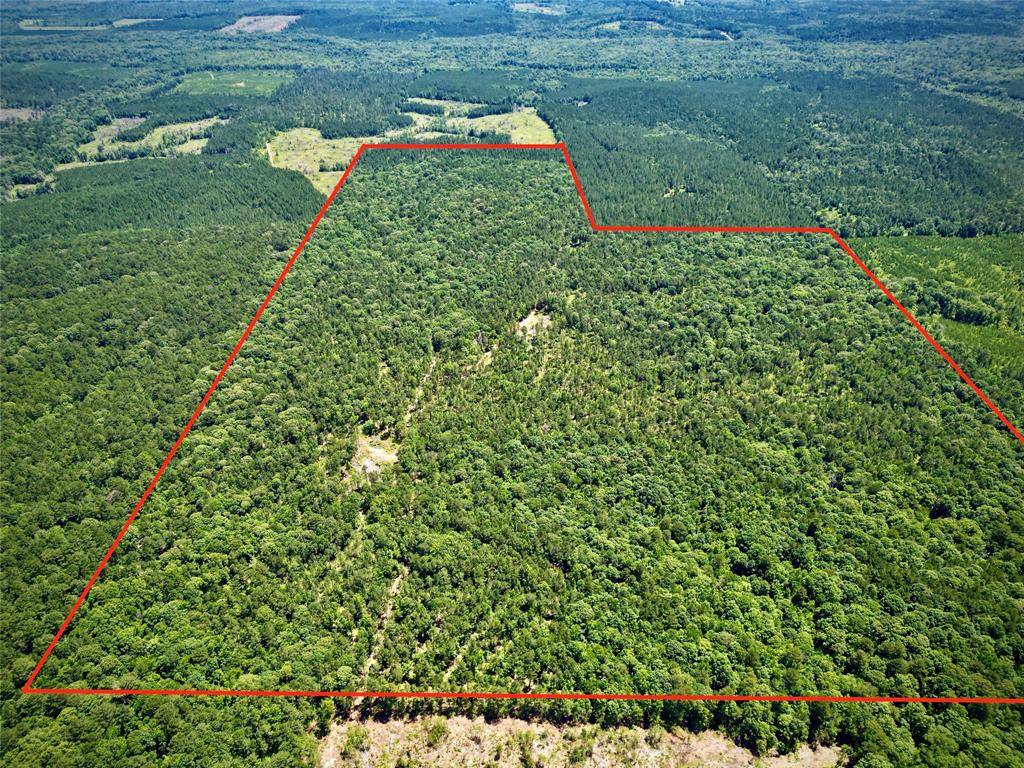 000 William Colvin Road, Bernice, LA 71222