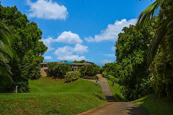 4700 KAPUNA RD, Kilauea, HI 96722