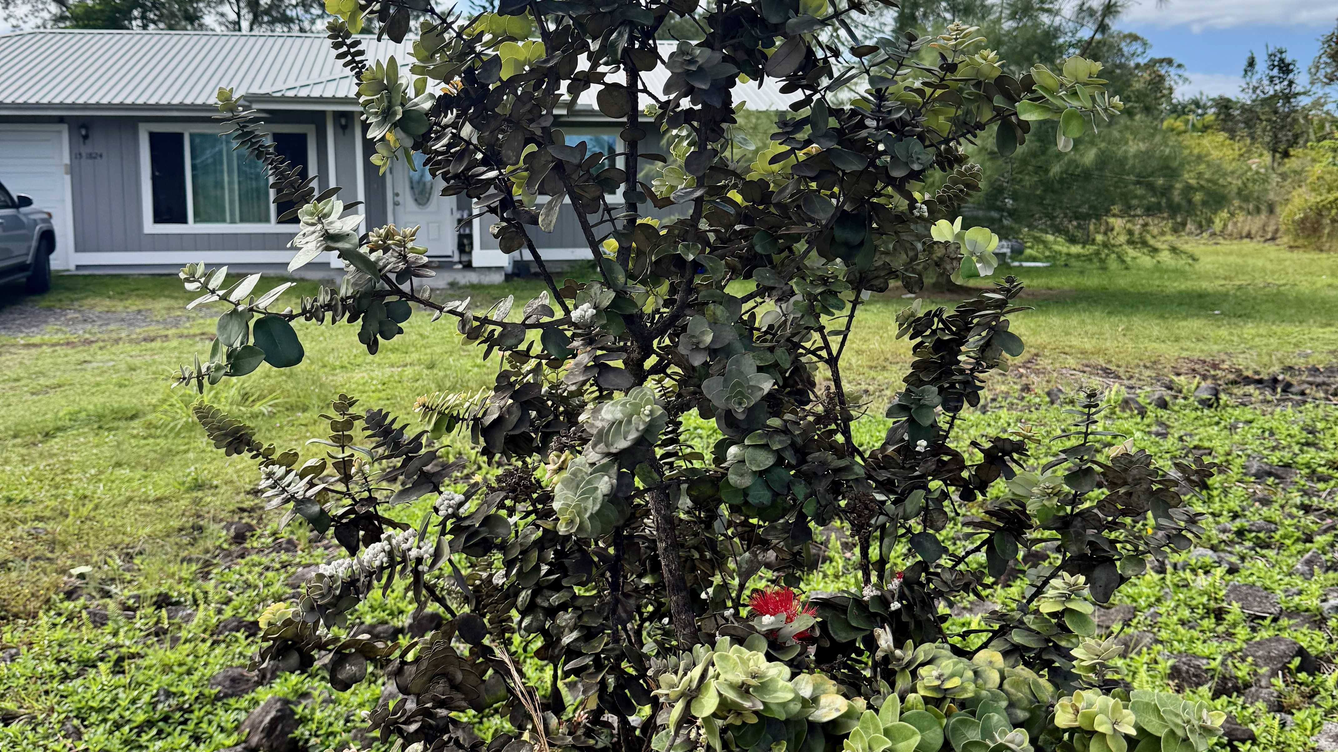 15-1824 6TH AVE, Keaau, HI 96749