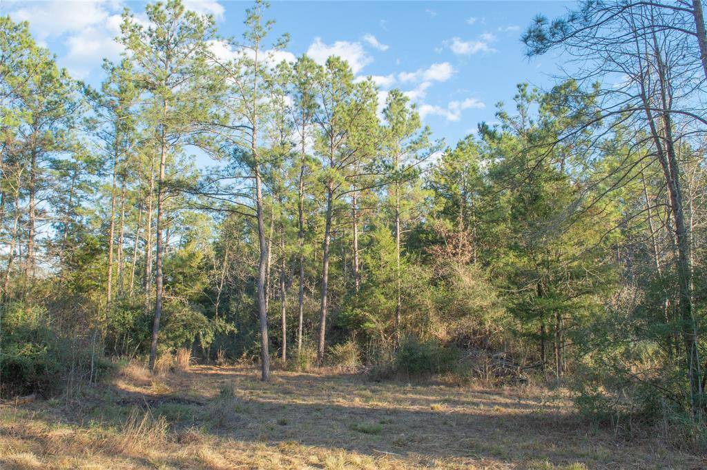0 Chatfield Road, Livingston, TX 77351