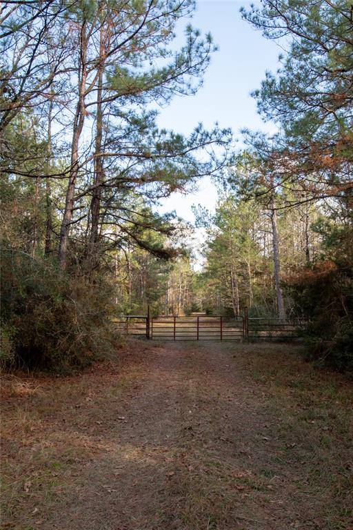0 Chatfield Road, Livingston, TX 77351