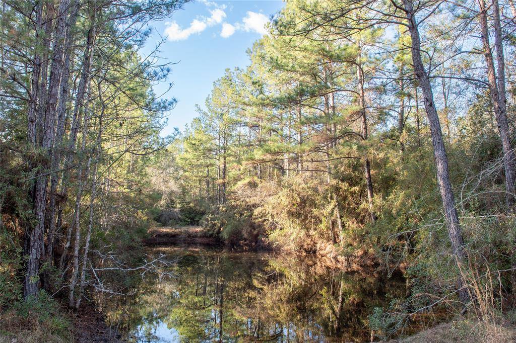 0 Chatfield Road, Livingston, TX 77351