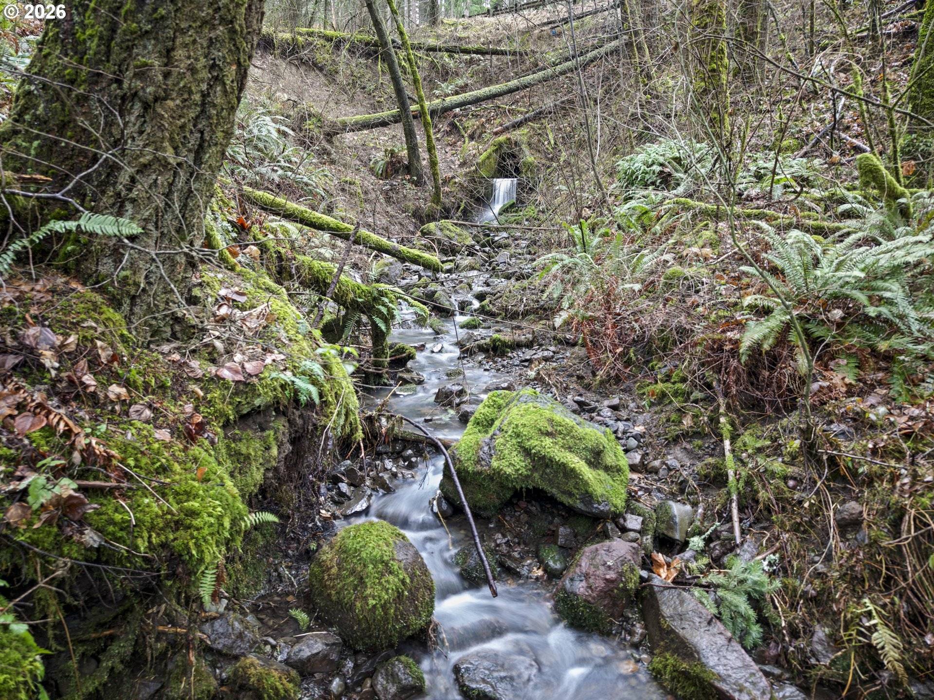 Seward RD, Carson, WA 98610
