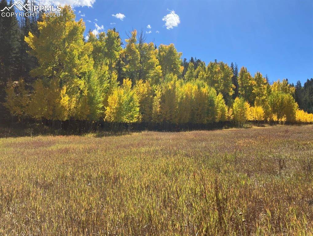 Lot 1 County Road 358, Westcliffe, CO 81252