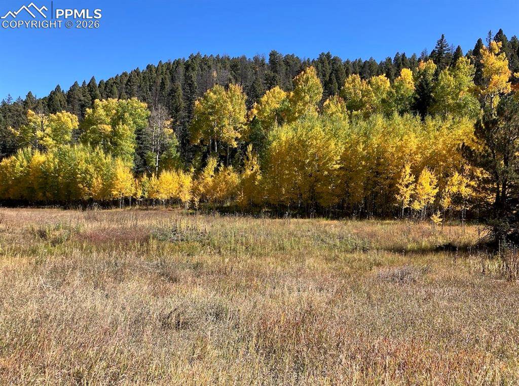 Lot 1 County Road 358, Westcliffe, CO 81252