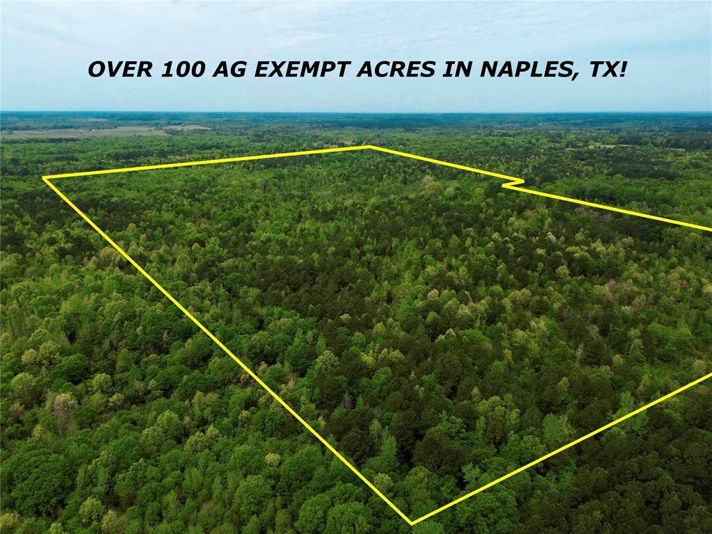 TBD County Road 2742, Naples, TX 75568