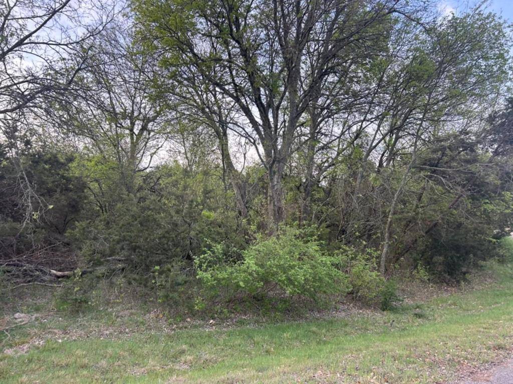 0000 Private Road 1212, Kopperl, TX 76652