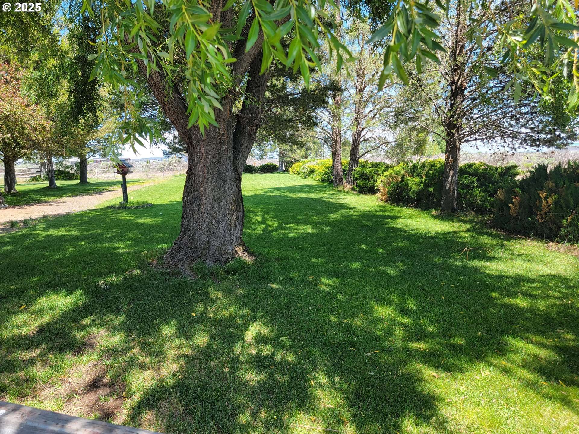 57580 FALL RD, Christmas Valley, OR 97641