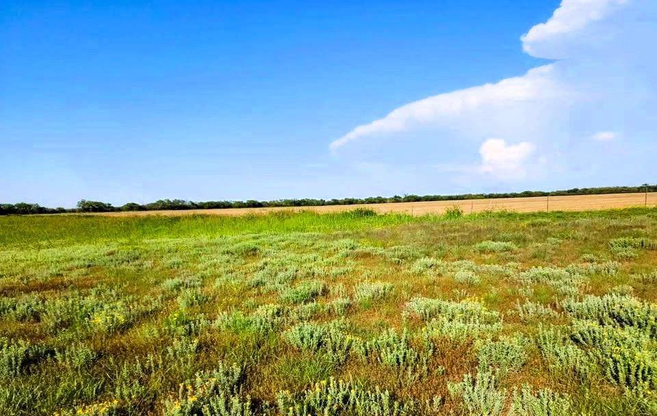 TBD FM rd 57 Road, Sylvester, TX 79560