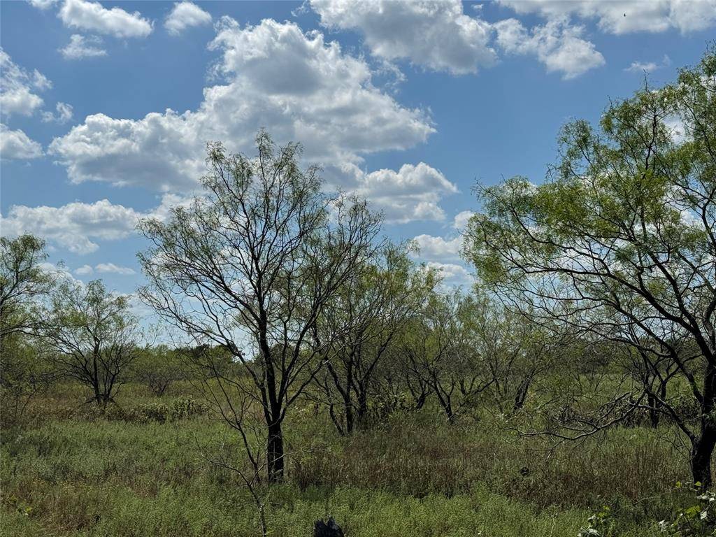 TBD1 County Road 1240, Cleburne, TX 76033