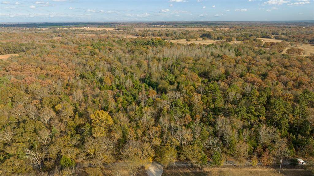 TBD CR 1440, Bogata, TX 75417