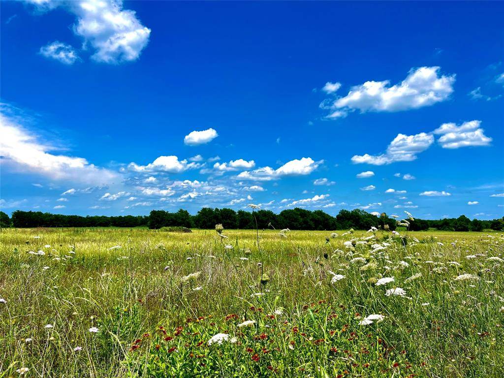 Lot 7 CR-590, Nevada, TX 75173