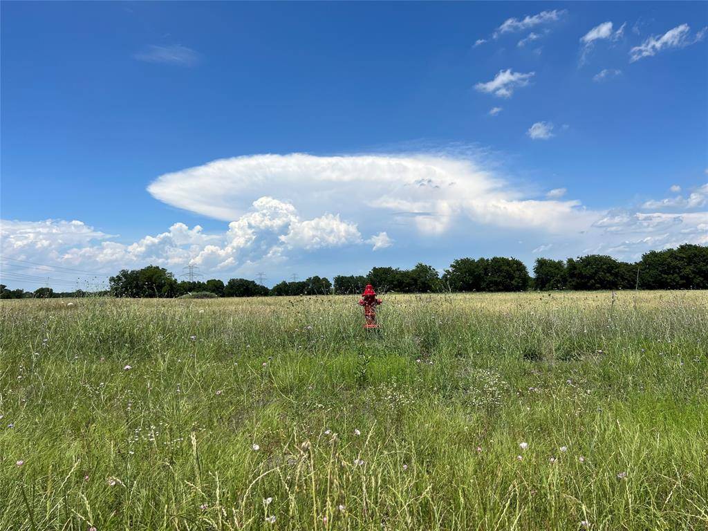 Lot 7 CR-590, Nevada, TX 75173