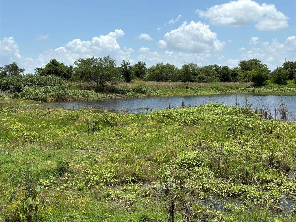 Tract 8 Patton Road, Valley Mills, TX 76689