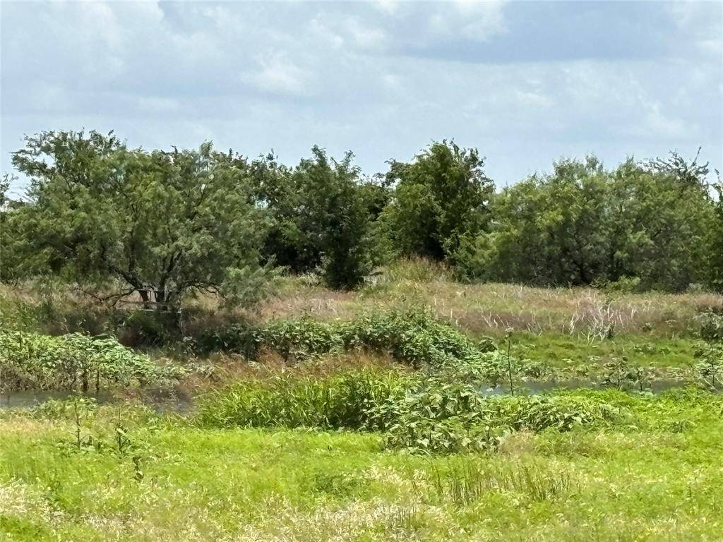 Tract 8 Patton Road, Valley Mills, TX 76689