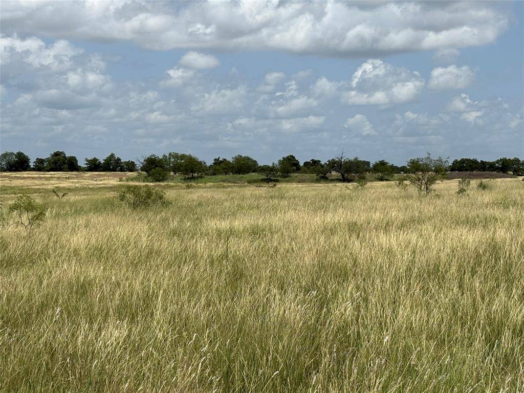 Tract 3 Patton Road, Valley Mills, TX 76689