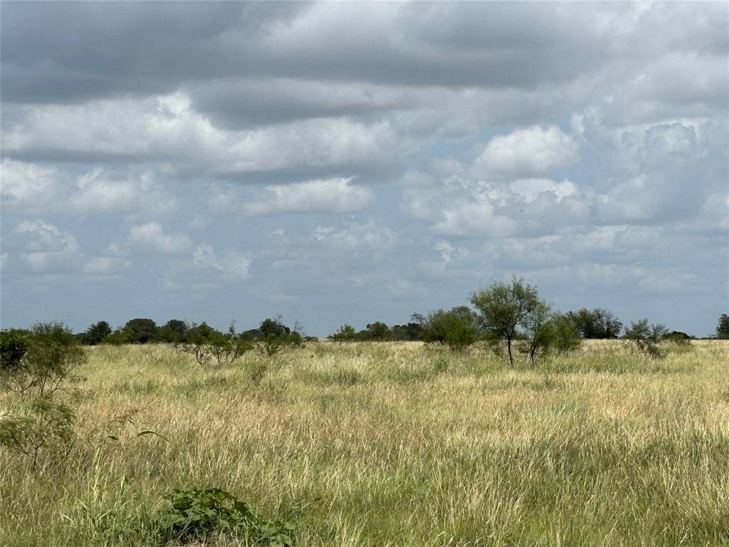 Tract 4 Patton Road, Valley Mills, TX 76689