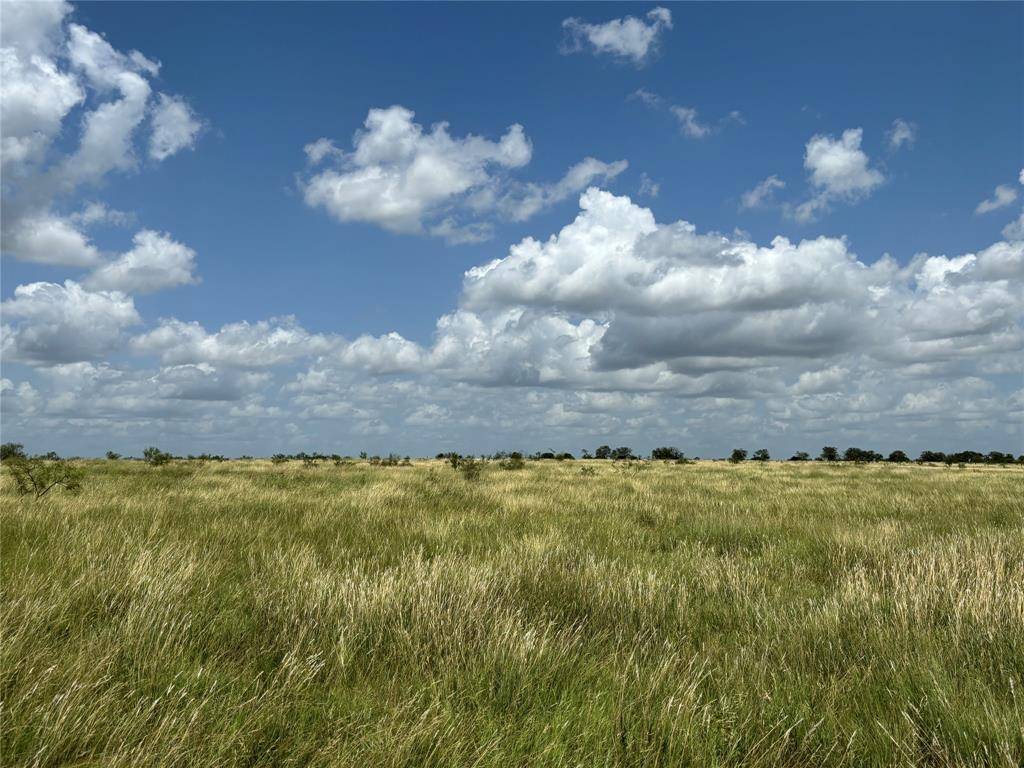 Tract 5 Patton Road, Valley Mills, TX 76689