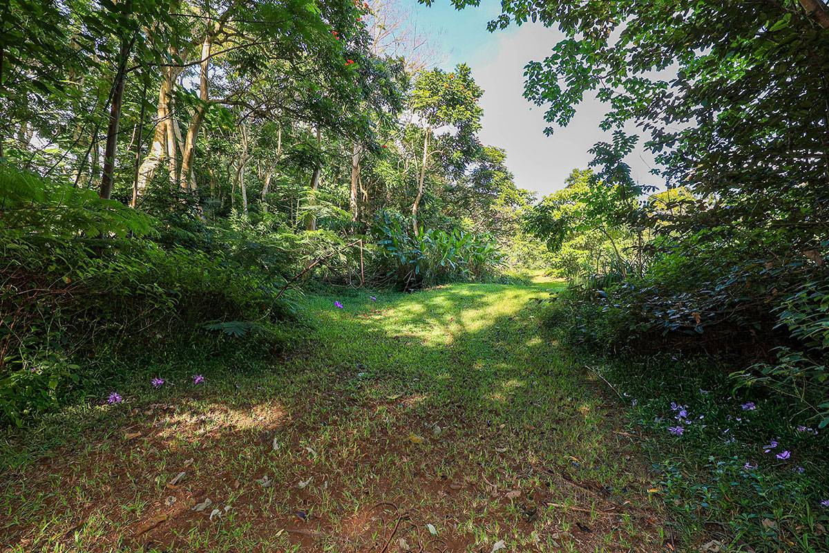 6828-B KUAMOO RD #2, Kapaa, HI 96746