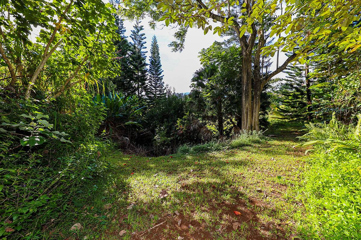 6828-B KUAMOO RD #2, Kapaa, HI 96746