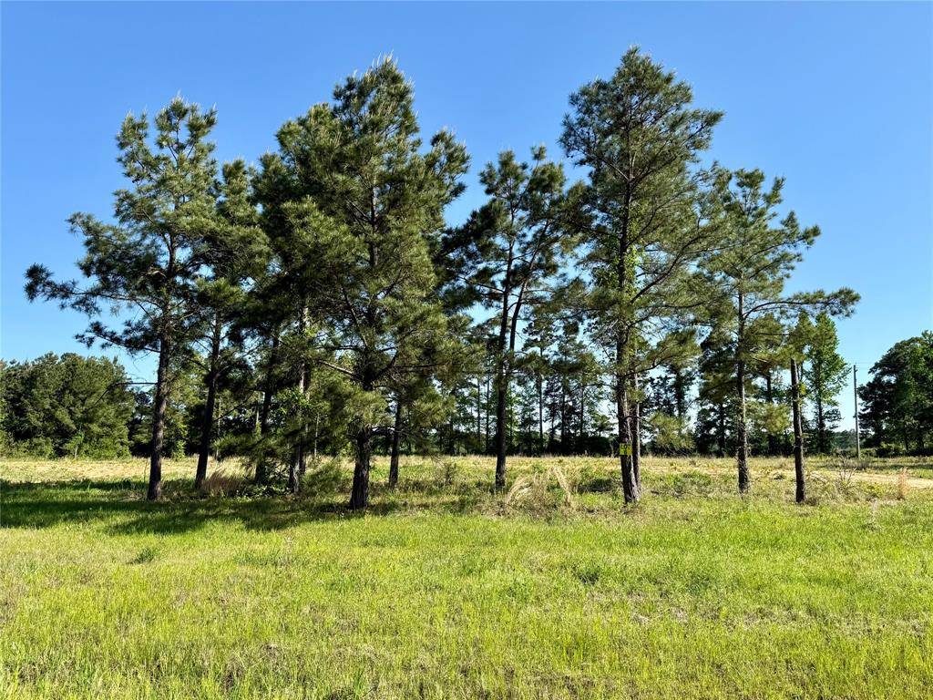 102 Faith Plantation Drive #36, Princeton, LA 71067