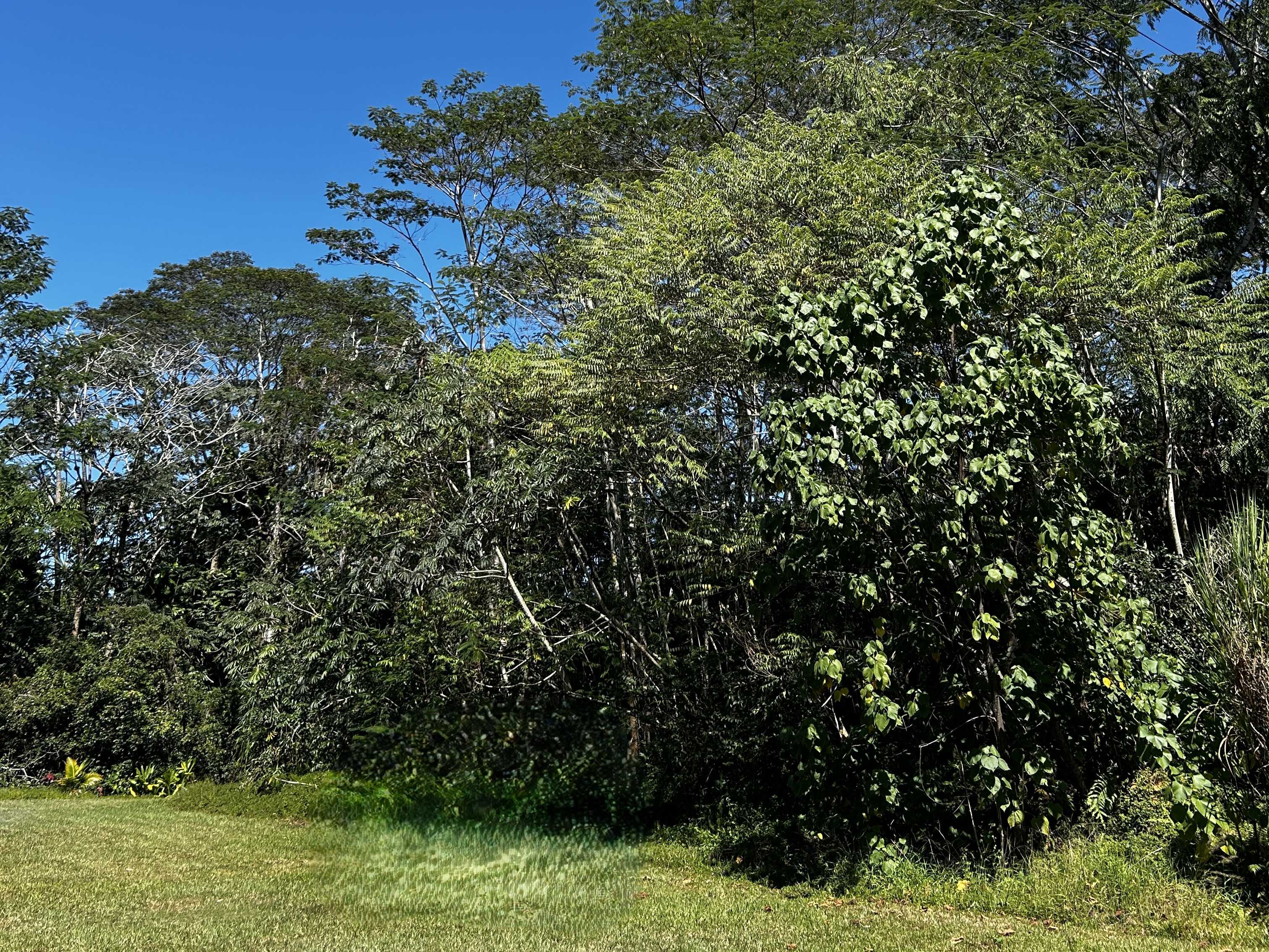 15-2727 MOANO ST, Pahoa, HI 96778