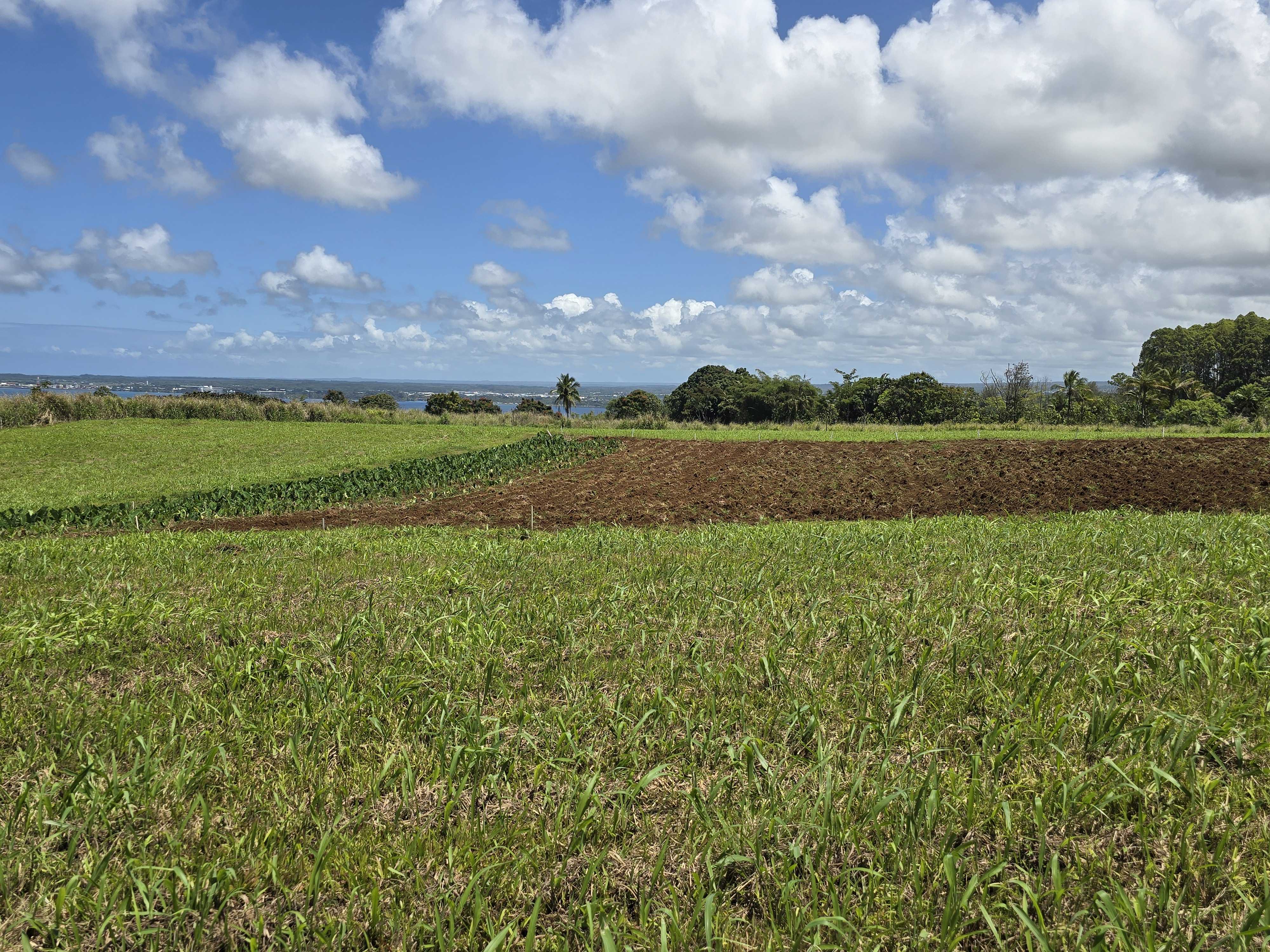 PUIA ROAD, Hilo, HI 96720