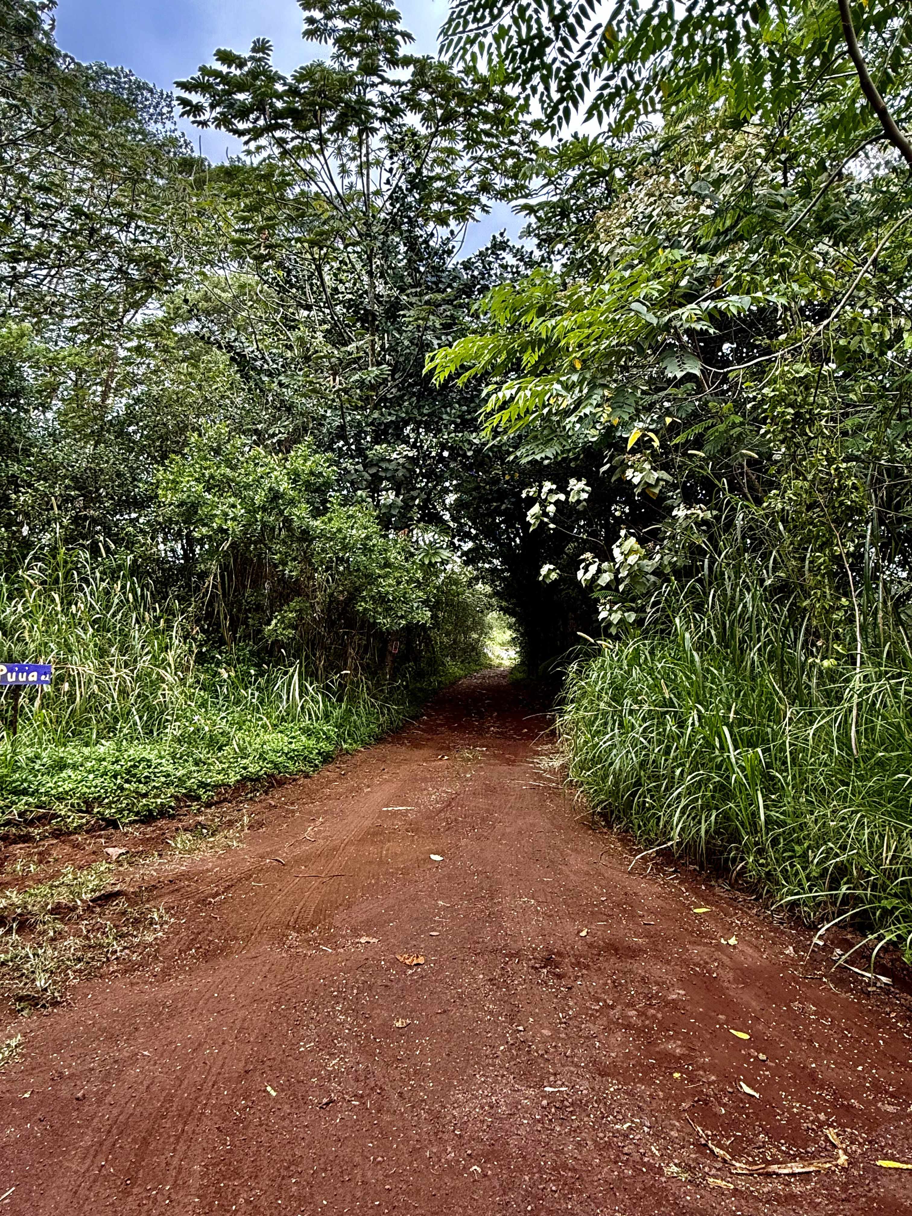 PUUA KAPOHO RD, Pahoa, HI 96778