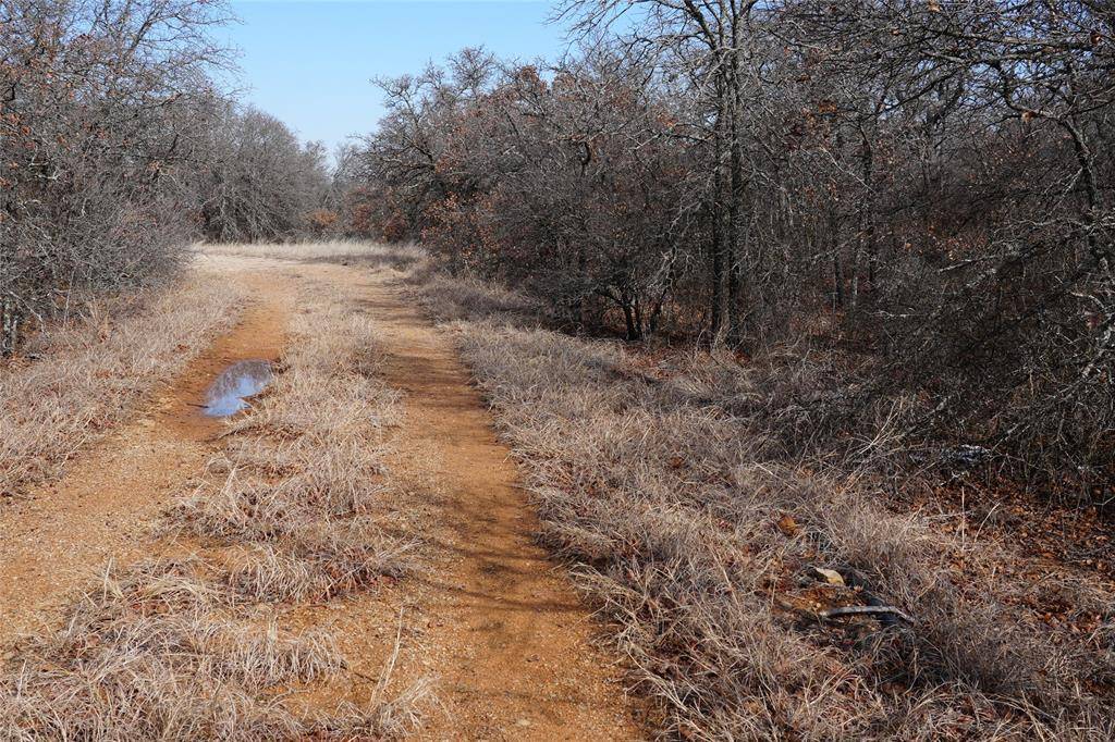 TBD Hwy 206, Cisco, TX 76437