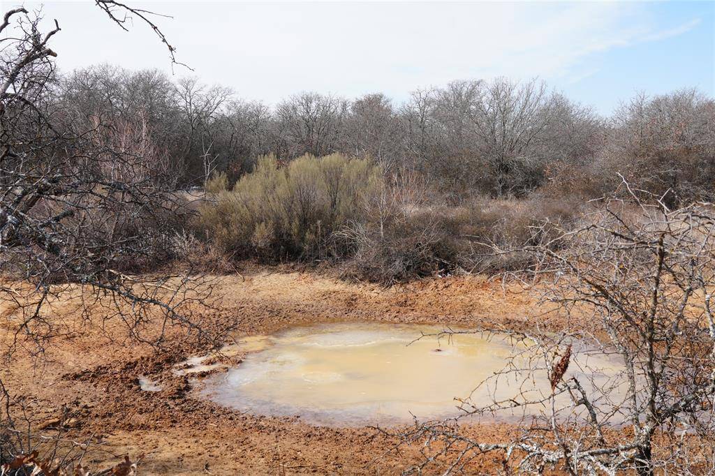 TBD Hwy 206, Cisco, TX 76437