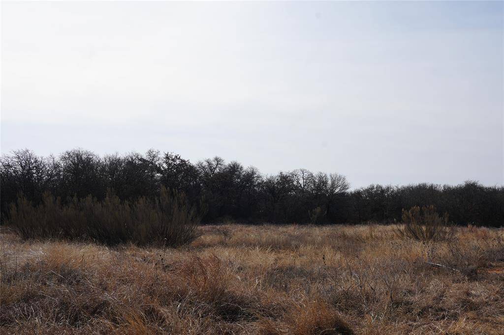TBD Hwy 206, Cisco, TX 76437