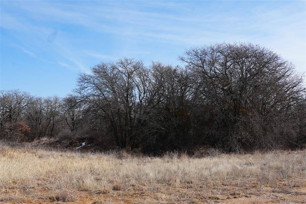 TBD Hwy 206, Cisco, TX 76437