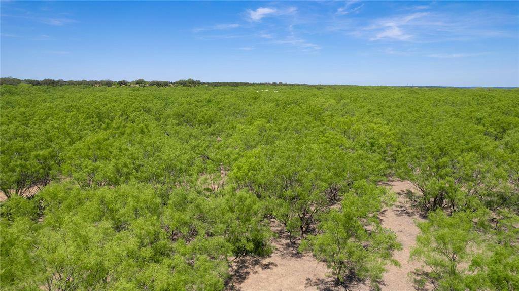 TBD C. R. 211, Brookesmith, TX 76827