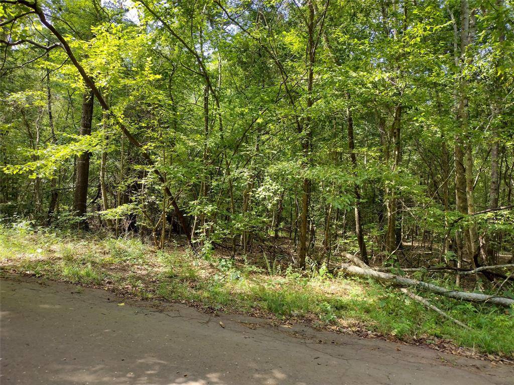 TBD Willow Point Marina Road, Avinger, TX 75668