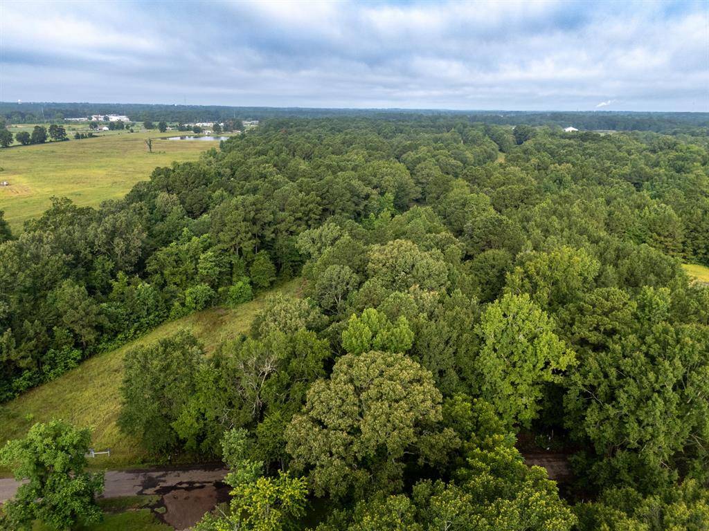 00 CR 301, Carthage, TX 75633