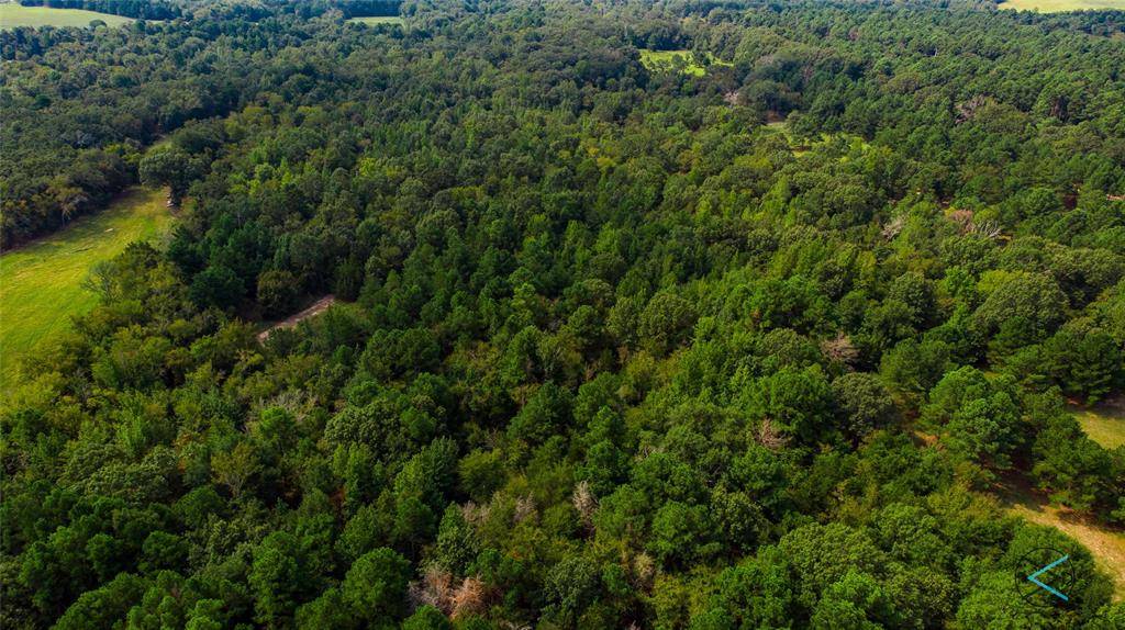 TBD CR 3606, Brownsboro, TX 75756