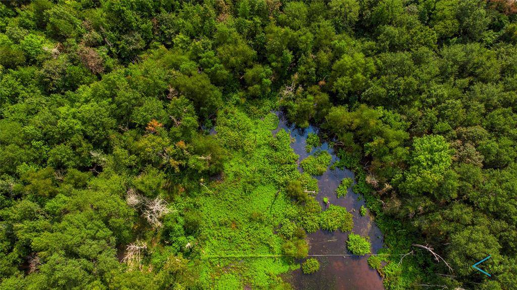 TBD CR 3606, Brownsboro, TX 75756