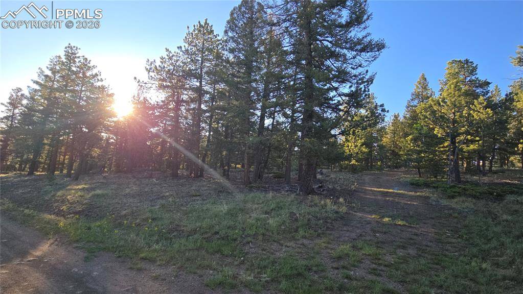 Chubb CT, Buena Vista, CO 81211