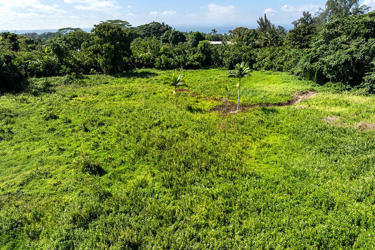LAEHALA ST, Hilo, HI 96720
