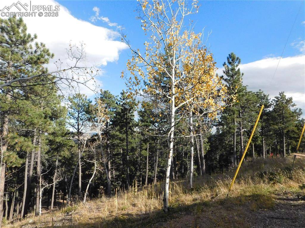 13910 Boulder LN, Larkspur, CO 80118