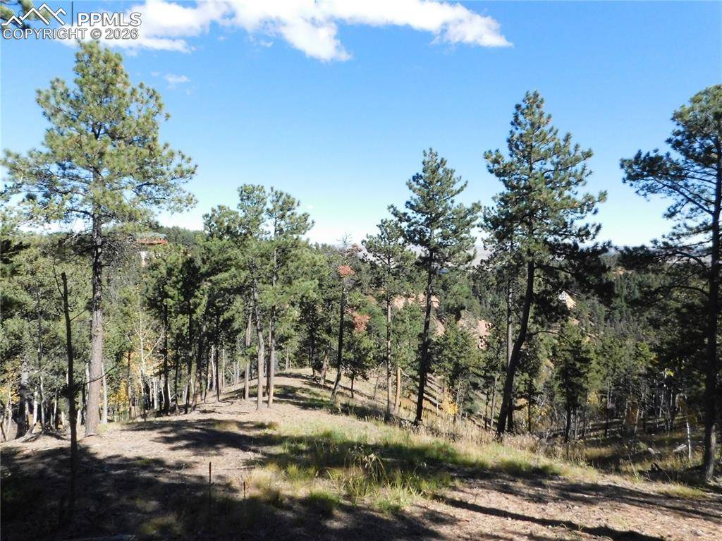 13886 Boulder LN, Larkspur, CO 80118