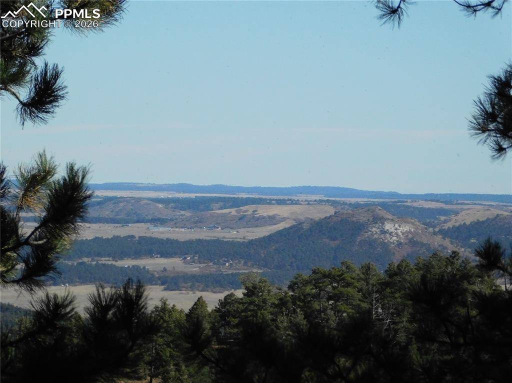 13886 Boulder LN, Larkspur, CO 80118