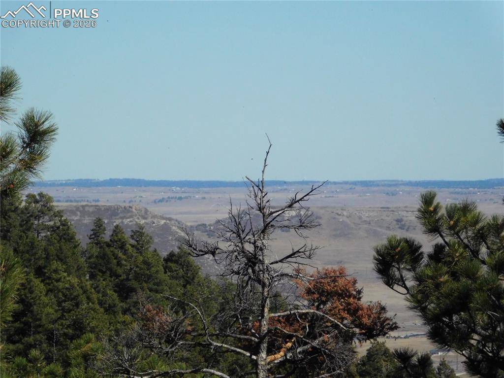13886 Boulder LN, Larkspur, CO 80118
