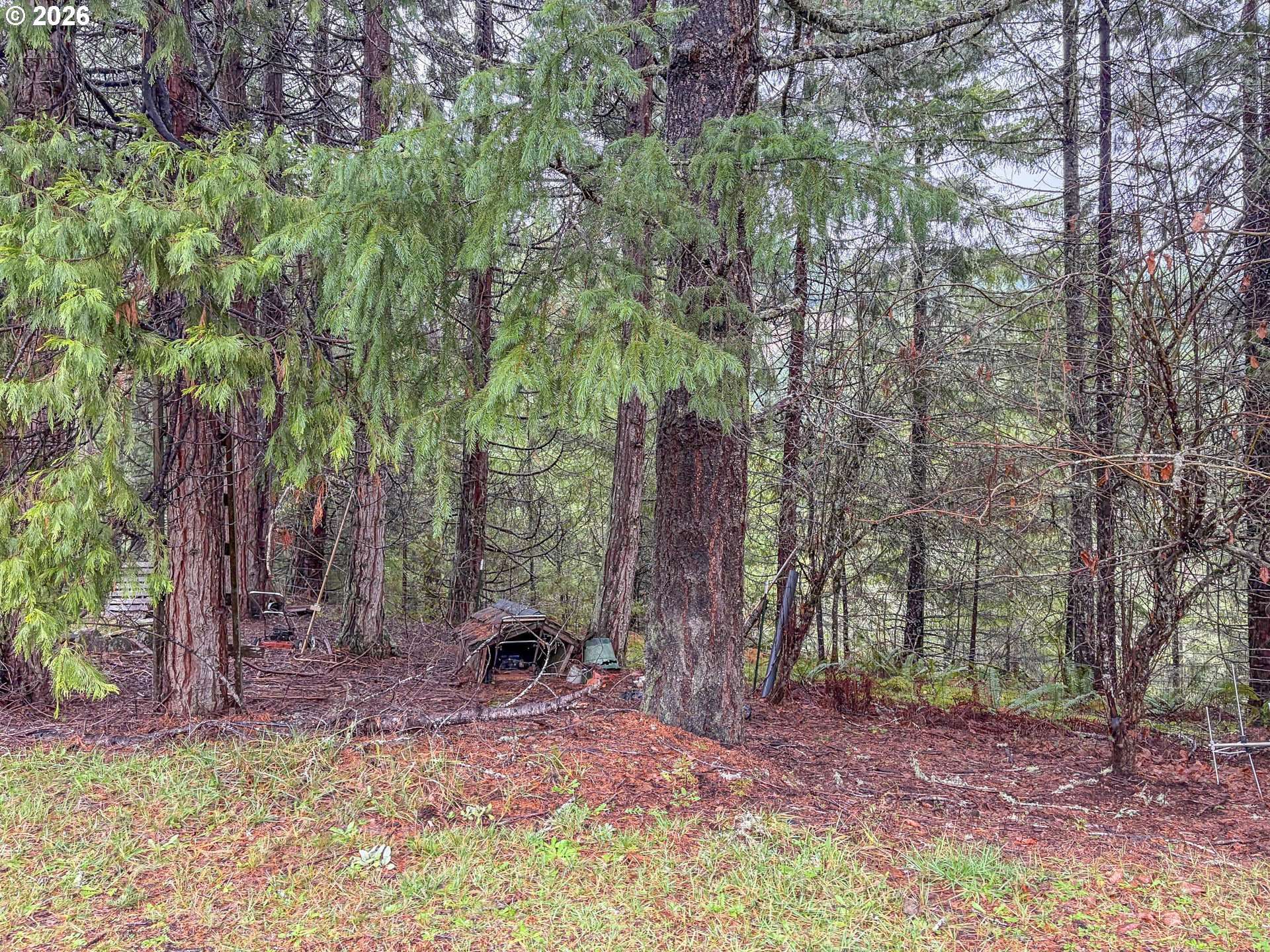 225 DORALEEN LN, Glide, OR 97443