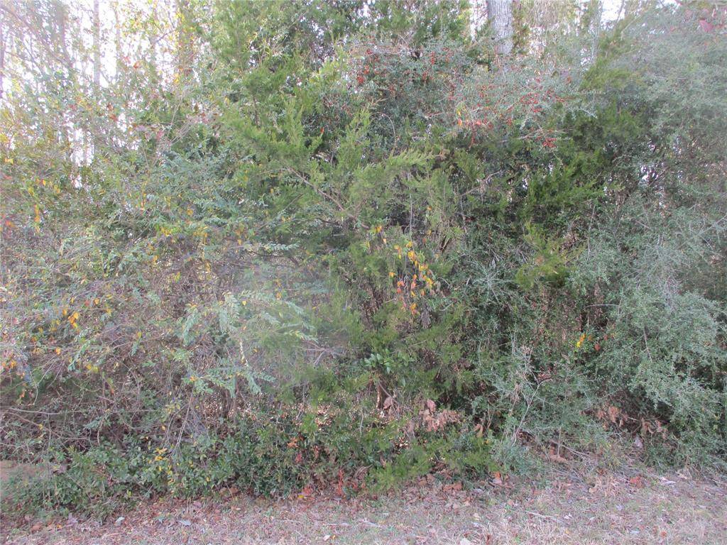 TBD Wood County Road 2958, Alba, TX 75410